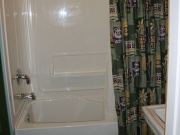 Full bathtub and shower
