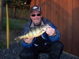 perch1