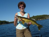 walleye1