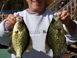 crappie3