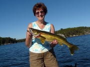 walleye3
